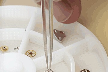 福州劳力士售后维修店地址查询